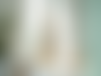 Unveiling the Truth: Is Your Loofah Actually a Breeding Ground for Bacteria?