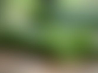 Soothing Redness Naturally Without Fragrance or Alcohol