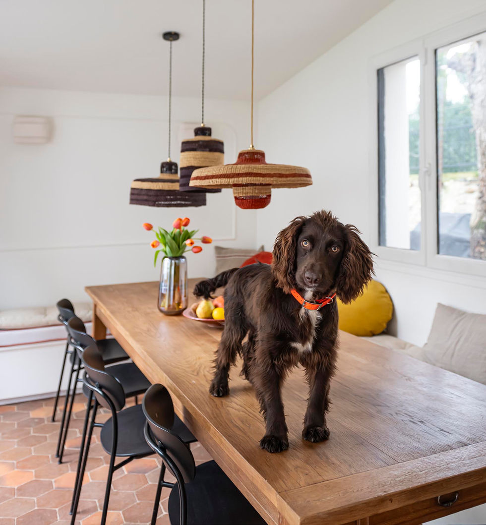 Rénovation, réagencement, transformation complète… j’accompagne les familles dans chaque étape de leur projet de maison. Mon 