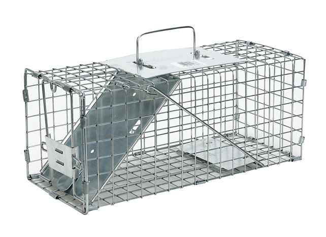 Live Animal Trap