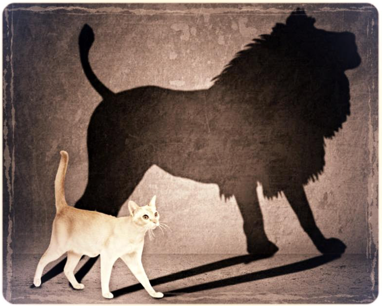 Guerilla Tactics Spiritual Warrior