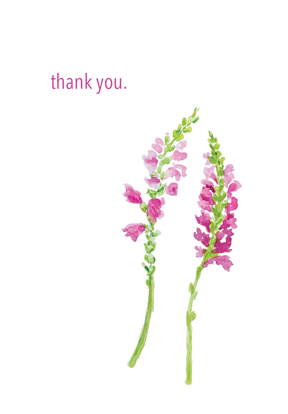 3.5x5 -Snapdragon "thank you" card set