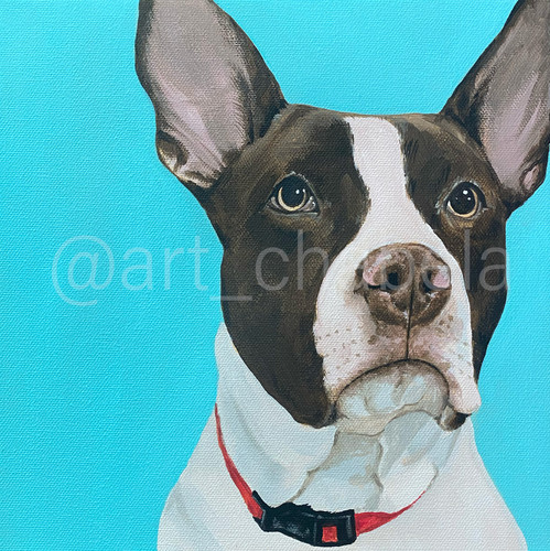 10x10 - Custom Acrylic Pet Portrait on Canvas | Artchabela 1