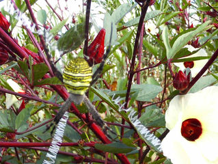 姑と穏やかに暮らすために　相談事例