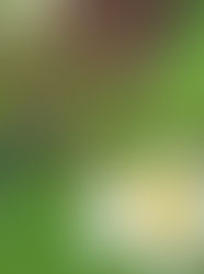 職場の先輩と良好な関係を続けるために