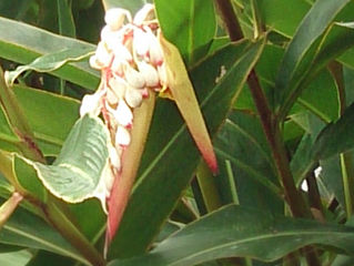 介護保険法の改定内容の私見 2018年度