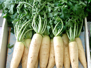 他人のことを考えず好き勝手、自分の考えを押し付ける 相談事例