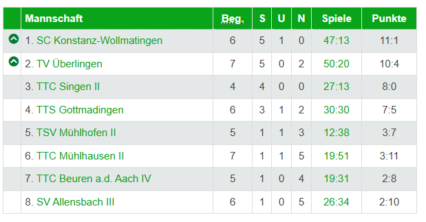 Jugendmannschaft steigt auf