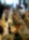 tablescape _edited.jpg