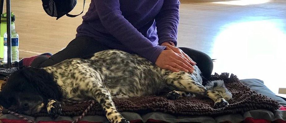 lynne and maisie2.jpeg
