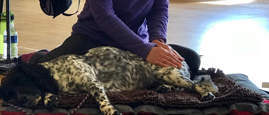 lynne and maisie2.jpeg