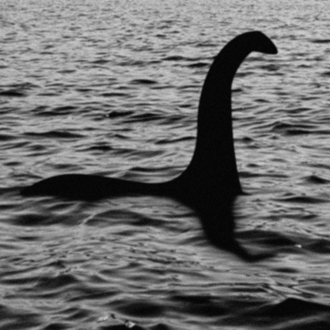 What is the truth behind the Loch Ness Monster? Full-cast audio drama. Free on Snackbytes.