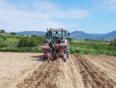 Plantation d'une pépinières grâce à notre machine GPS