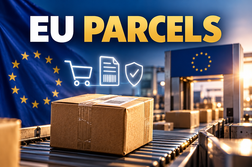Parcel on conveyor in EU shipping hub with EU flag, EU PARCELS text, and icons for cart, document, and shield.