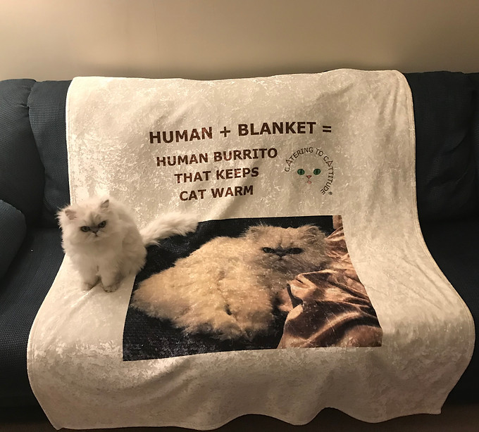 pic for Etsy1.jpg