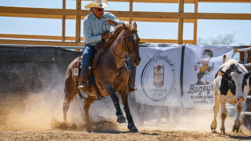 Ranch Horse Series Show #3