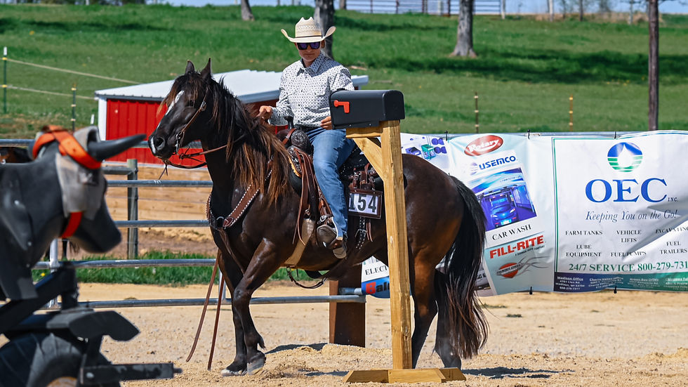 Open Horse Show #2