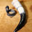 Thumbnail: Drinking horn, mostly black and white