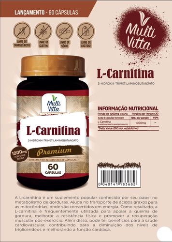 L-CARNITINA 1000MG 60 CAPS MULTIVITTA | Santo Vigor