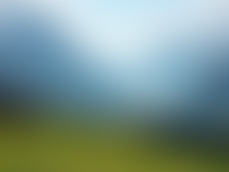 Case Vacanza Dolomiti: Affitti Disponibili per la Tua Prossima Vacanza