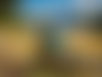 Your Home Away From Home: Discovering the Charm of Val di Fiemme with Dolomiti Affitti