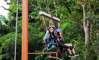 Giant Swing in Dandeli 
