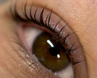 Professional lash lift and tint in Rotterdam using Korean technique for enhanced natural lashes