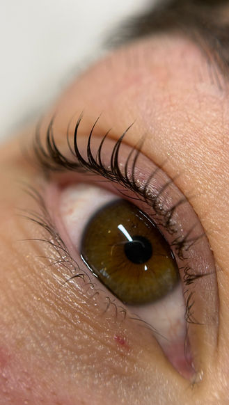 Close-up of lifted and tinted eyelashes on a brown eye
