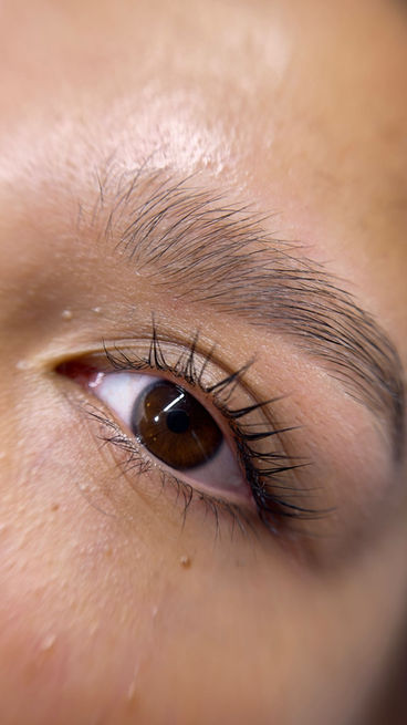 Close-up of shaped eyebrows and lifted eyelashes.