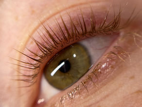 Naturally lifted and curled lashes after a Korean lash lift without tint. GlowArt Beauty Studio