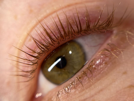 Naturally lifted and curled lashes after a Korean lash lift without tint. GlowArt Beauty Studio