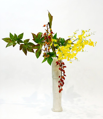 LINE_ALBUM_211025_6_edited.jpg