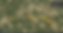 file1.jpg.png