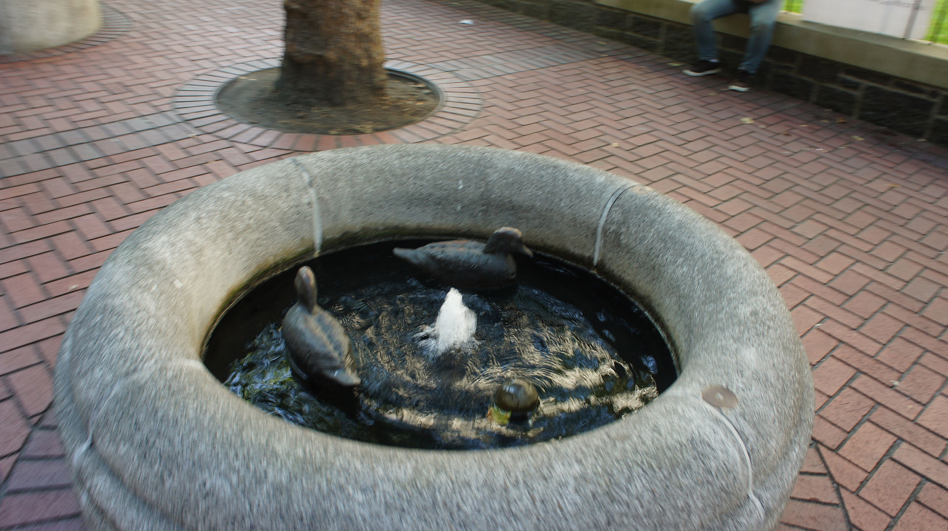 DSC01900