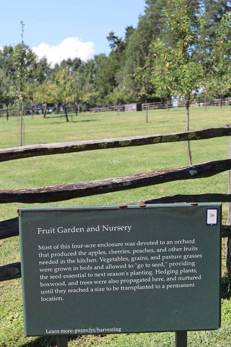 IMG_0092_edited