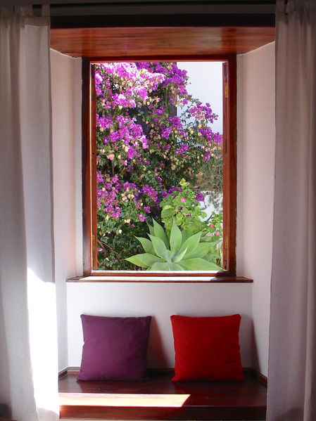 View from the eat-in kitchen into the patio of the apartment at the small gay boutique hotel Palomar on Gran Canaria.