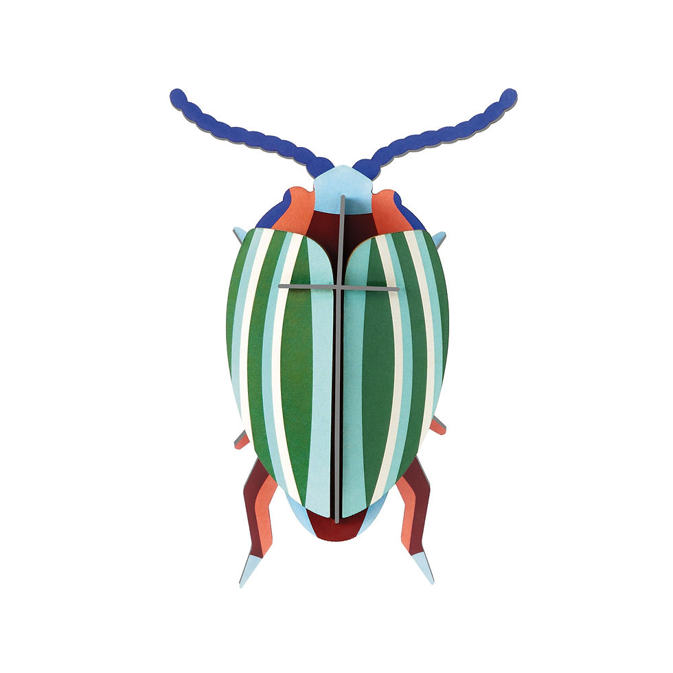 Insecte 3D à construire - Scarabée Vert