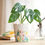 Miniature : Pot florale