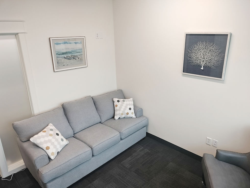 Therapy Office