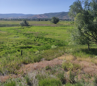 Copy of Heber landscape.jpg