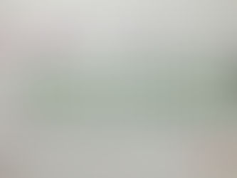 2026/1/26-2/01感染症報告週報