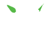 Services.png