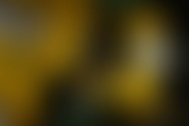 Performance Training: How To Get The Edge On The Competition