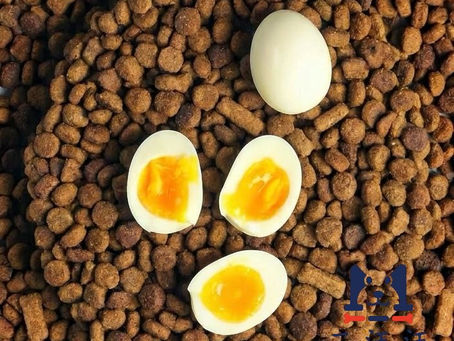 二汪廚房狗狗食雞蛋嘅最佳方法?