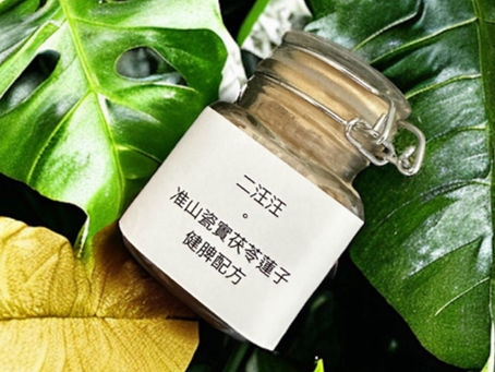 【產品介紹】二汪汪寵物漢方補腎健脾粉|成分理念、適用情況與使用建議(香港)