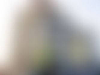 1. Wonen is een recht