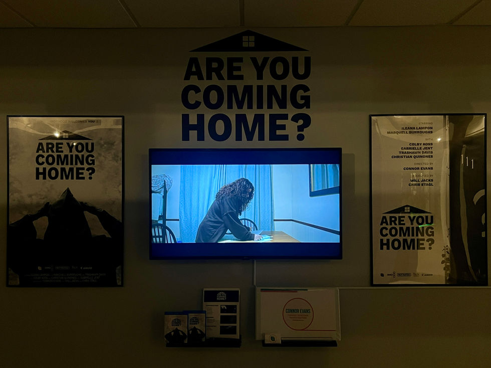 Exhibition Wall
