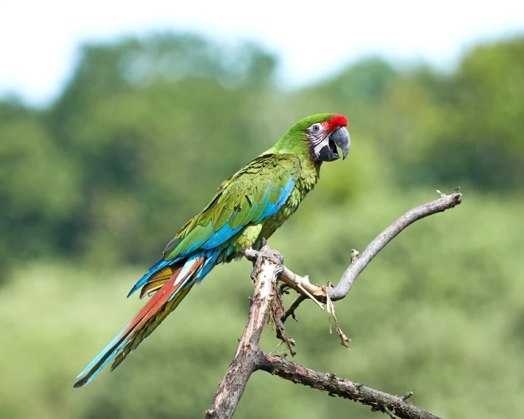 shutterstock-208910782jpg.webp