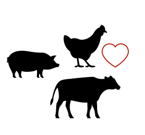 AmaterZ contactless assessment of livestock health