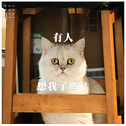 朋友，我又來了。專案